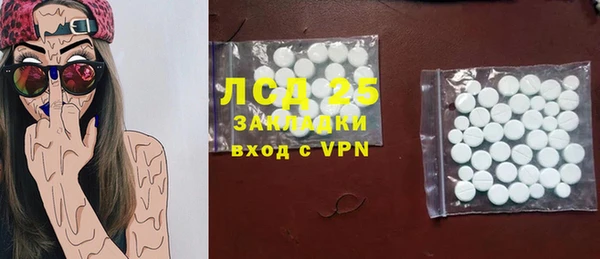 индика Волоколамск