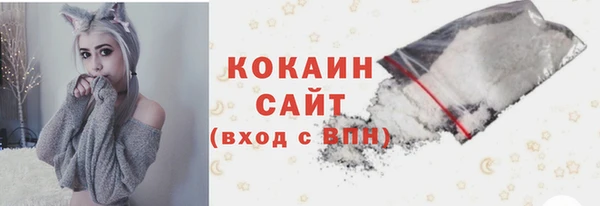 индика Волоколамск
