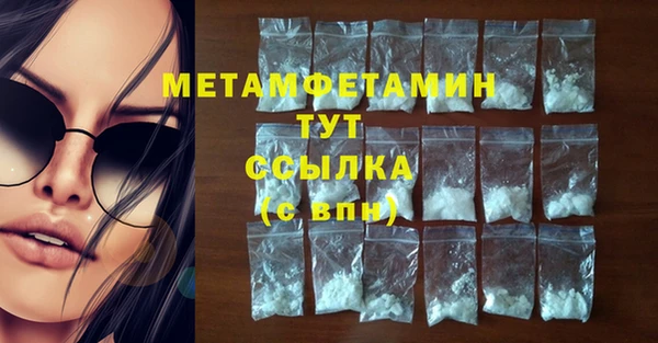 индика Волоколамск